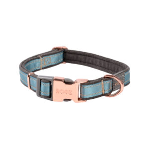 Rogz Dog Collar Control, Chain, Utility, Extra Large, Turquoise