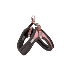 Rogz Small Dogs Comfy Harness, Fashion, Extra Small, Amphibian Blue