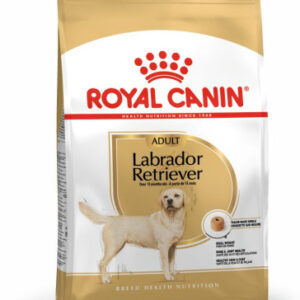 Royal Canin Labrador Retriever Adult Dog Food