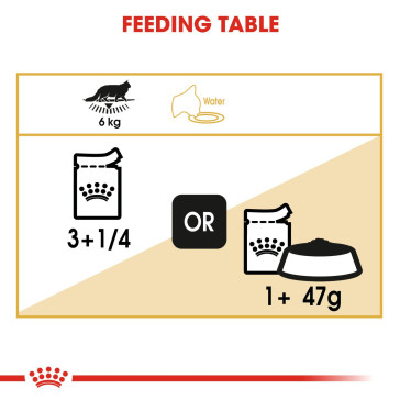 Royal Canin Maine Coon Cat Food Pouches - Image 3