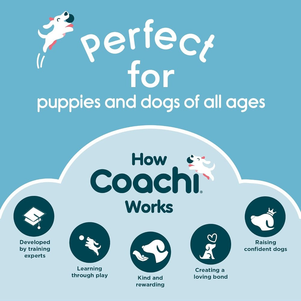 Company of Animals Coachi Whizzclick - Image 6