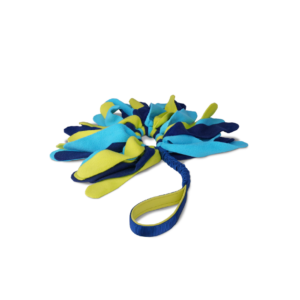 Company of Animals Coachi Tuggi Spider