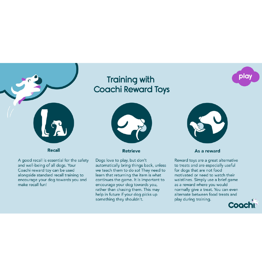 Company of Animals Coachi Chase & Treat - Image 8