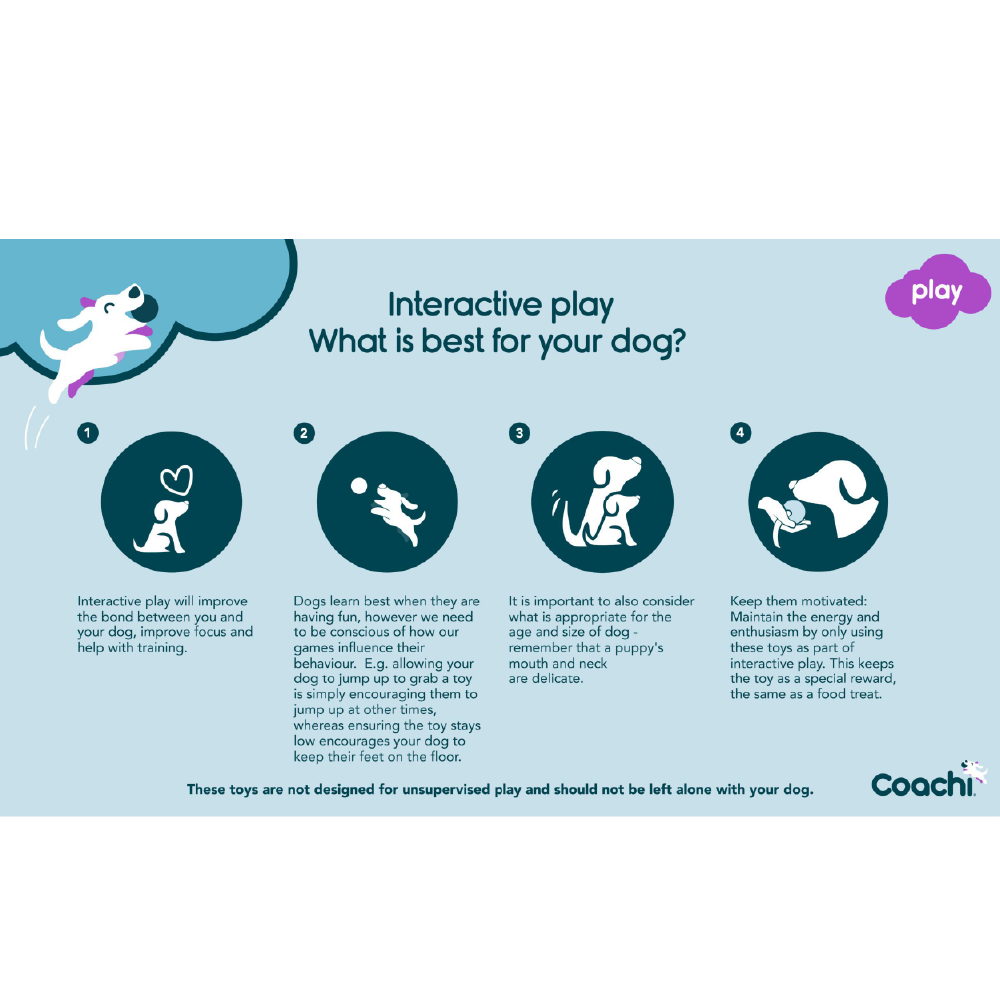 Company of Animals Coachi Chase & Treat - Image 9