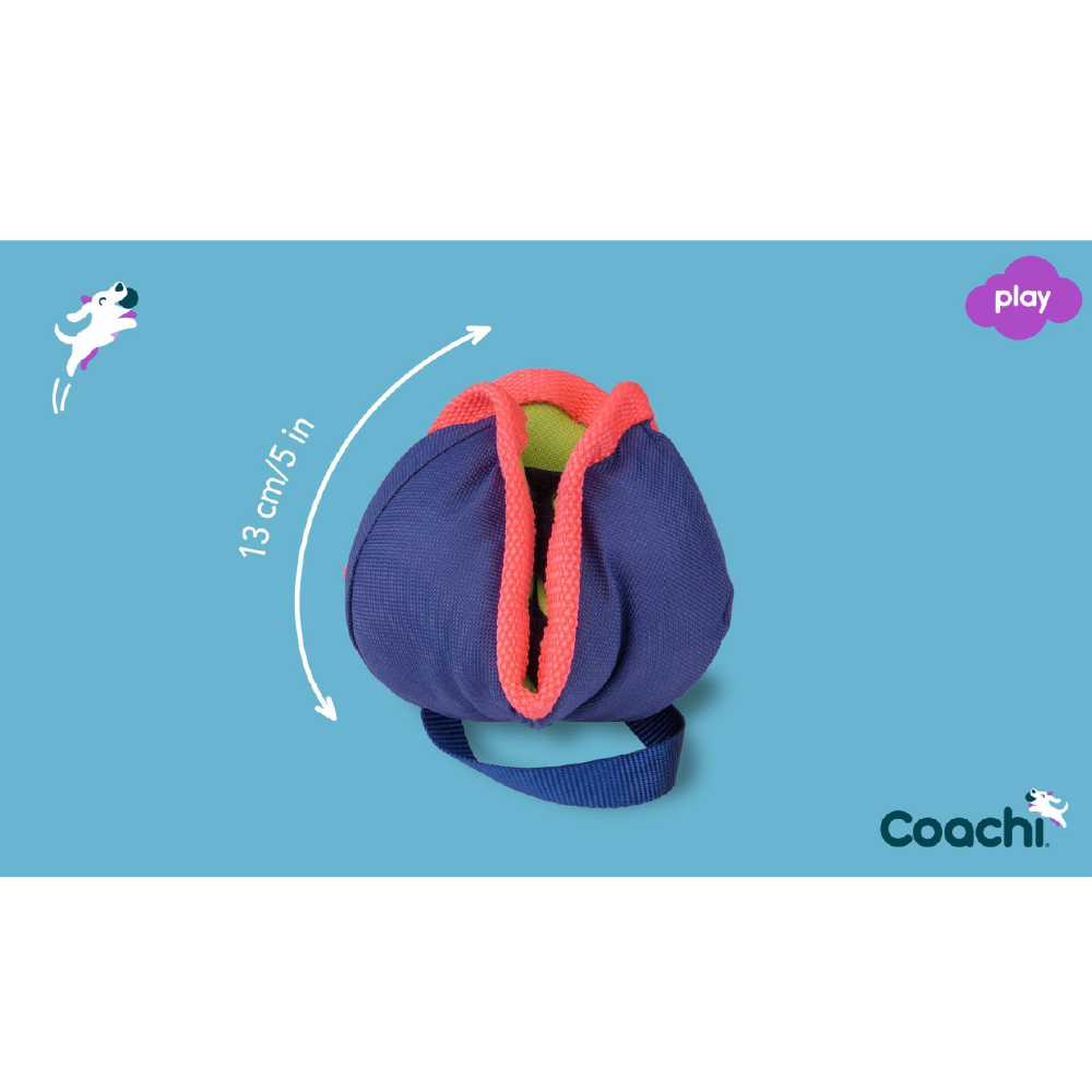 Company of Animals Coachi Chase & Treat - Image 3