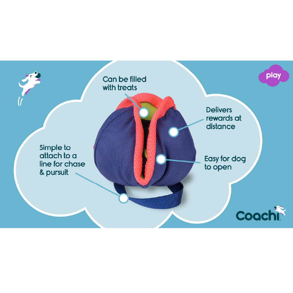 Company of Animals Coachi Chase & Treat - Image 4