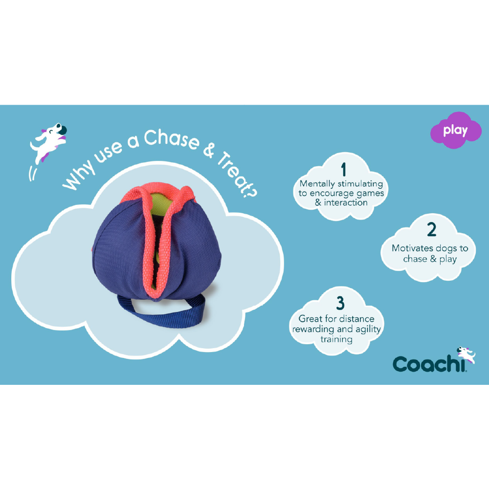 Company of Animals Coachi Chase & Treat - Image 5
