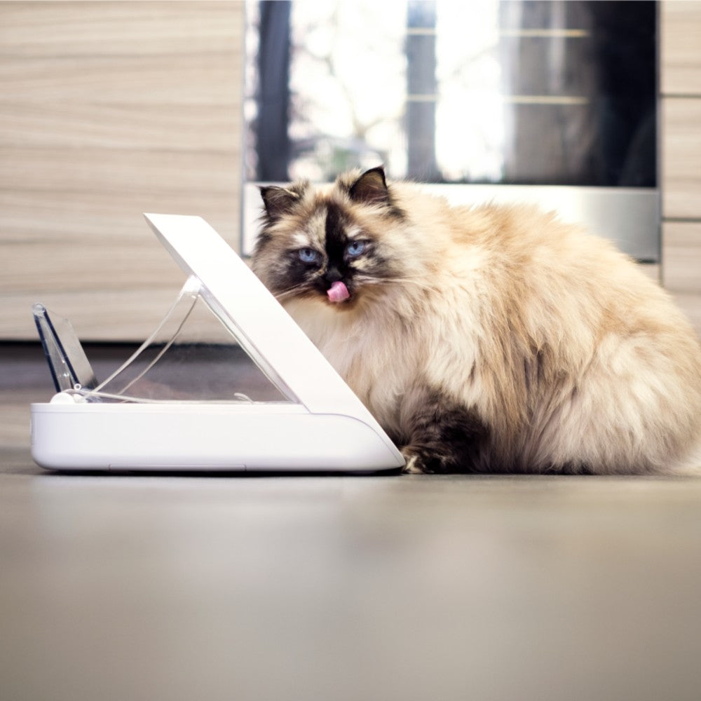 Surefeed Pet Feeder Connect - Image 3