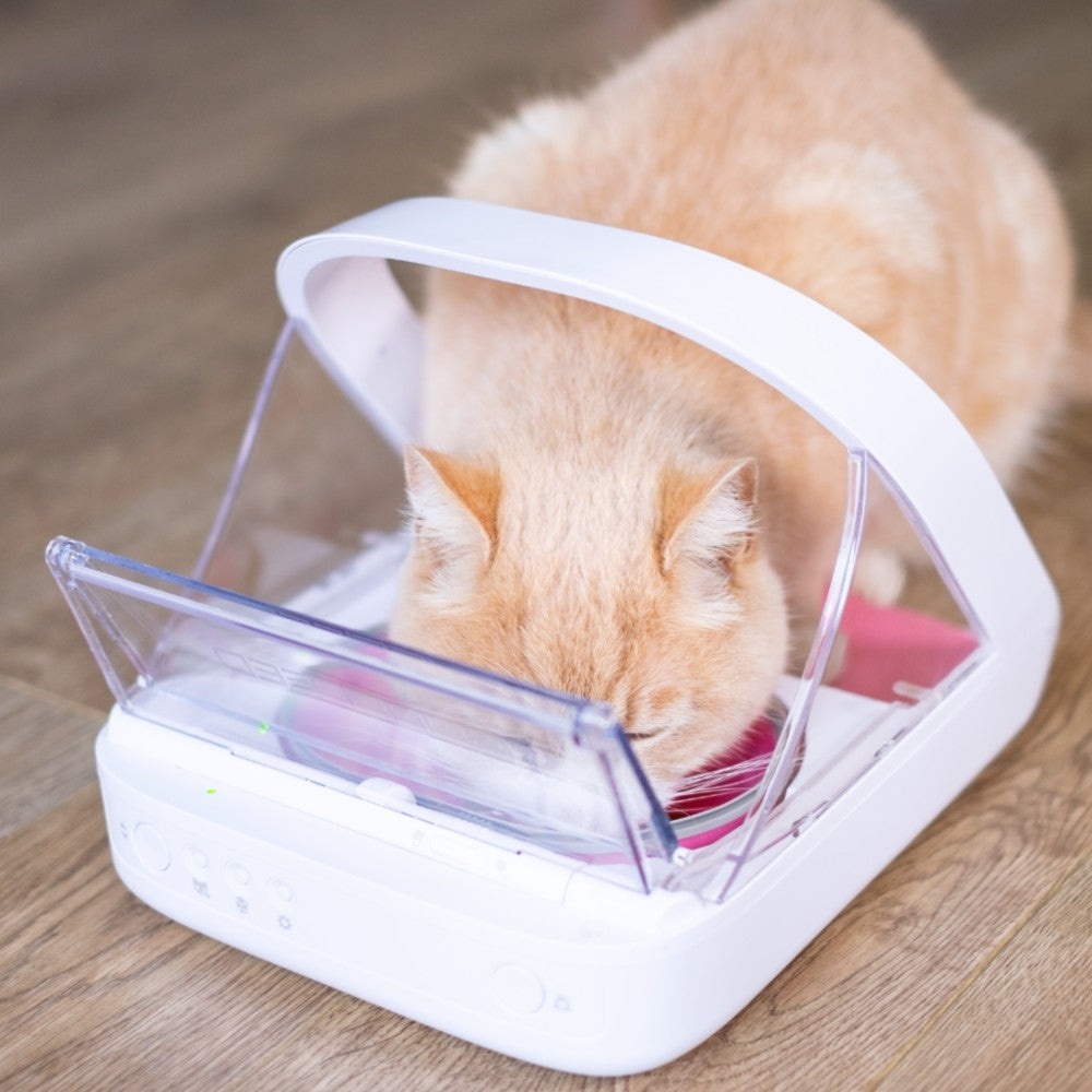 Surefeed Pet Feeder Connect - Image 4
