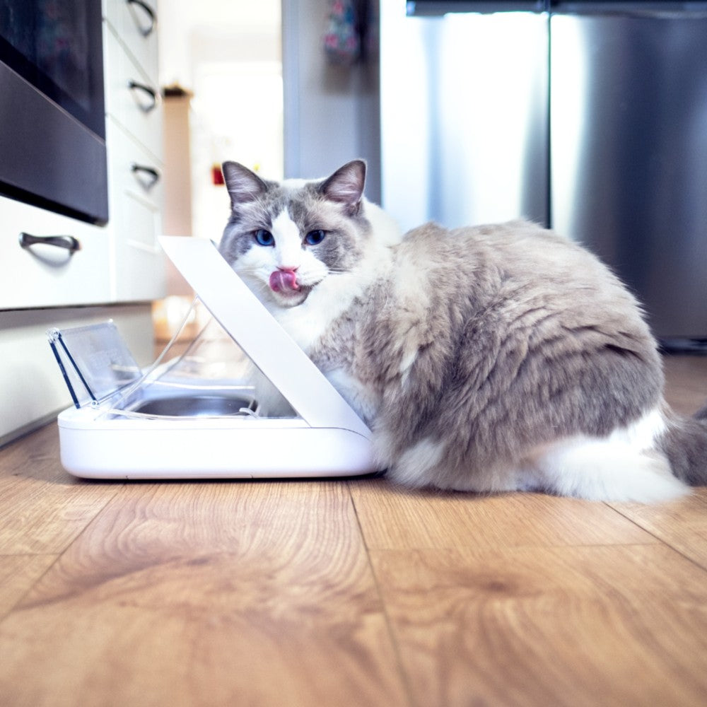 Surefeed Pet Feeder Connect - Image 5