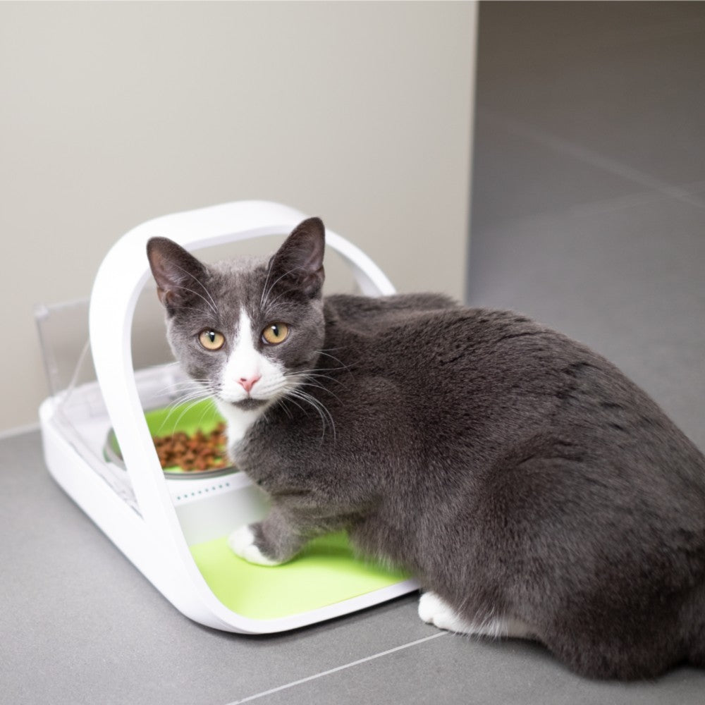 Surefeed Pet Feeder Connect - Image 7