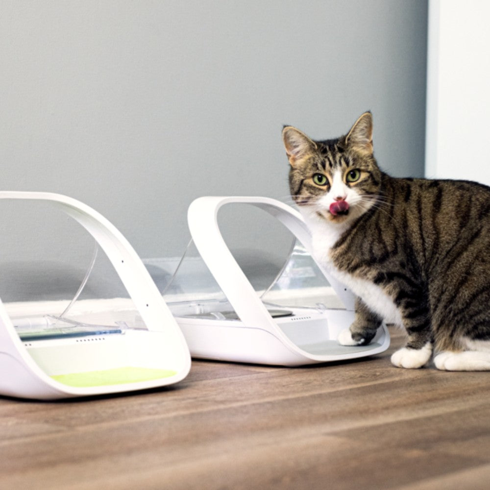 Surefeed Pet Feeder Connect - Image 8