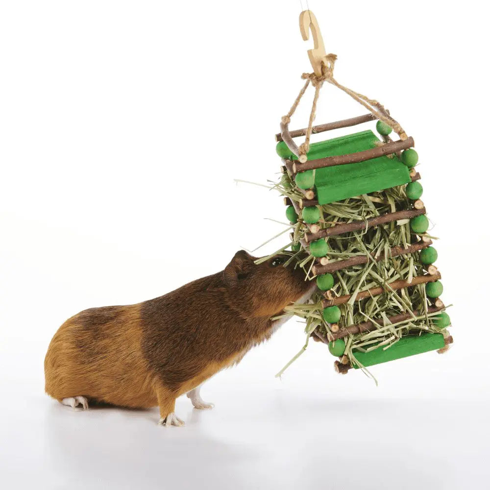 Oxbow Enriched Life Apple Stick Hay Feeder - Image 4