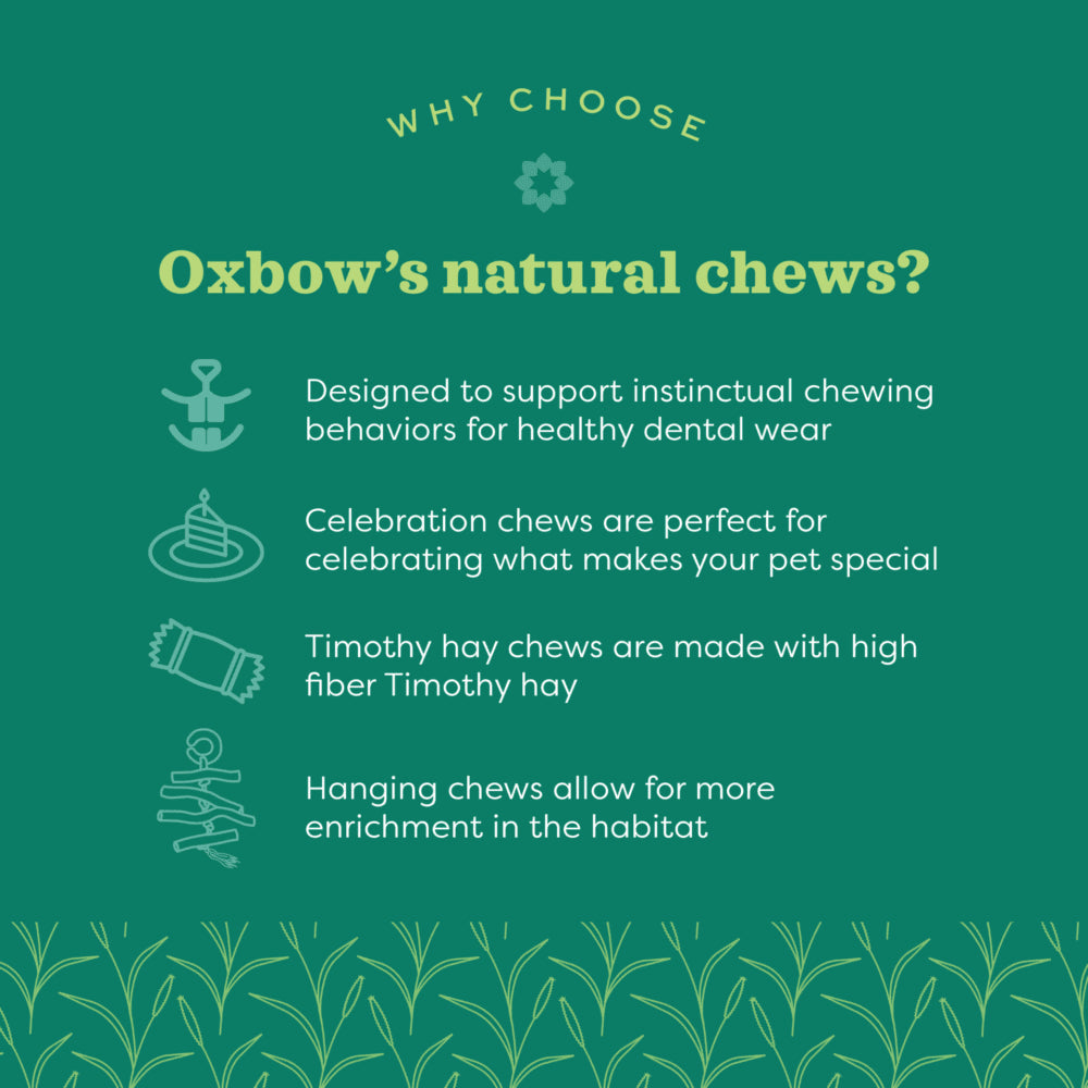 Oxbow Enriched Life Hanging Mulberry Chew - Image 5