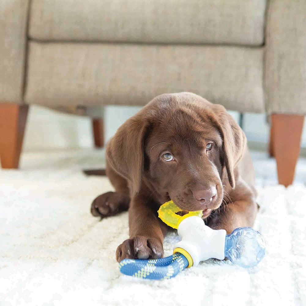 JW Pet Puppy Connects - Image 3