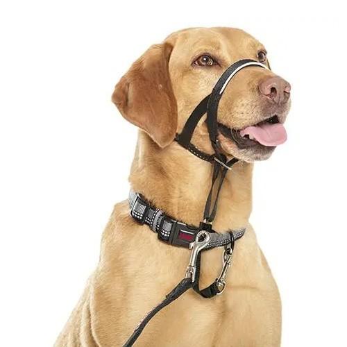 Company of Animals Halti Link - One Size Fits All - Image 2