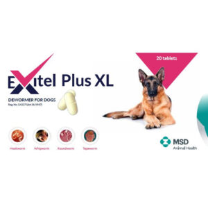Exitel Plus XL Dog Dewormer Flavoured Box of 20