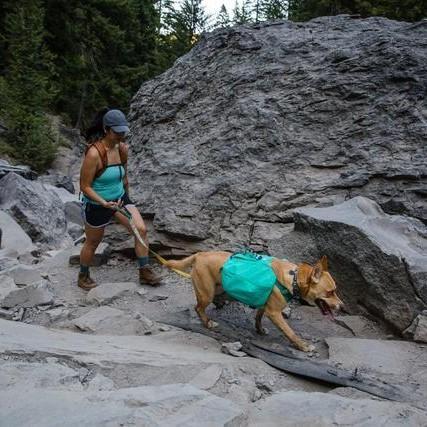 Ruffwear Front Range Day Pack - Image 3